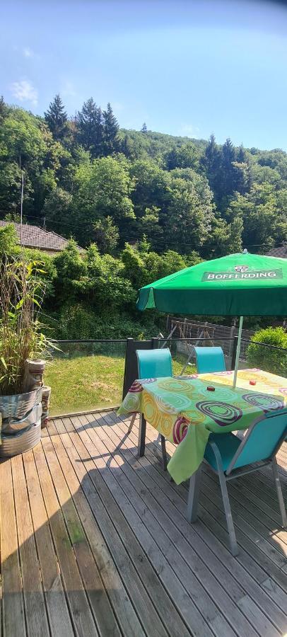 Maison Piscine Villa Saint-Amarin Kültér fotó