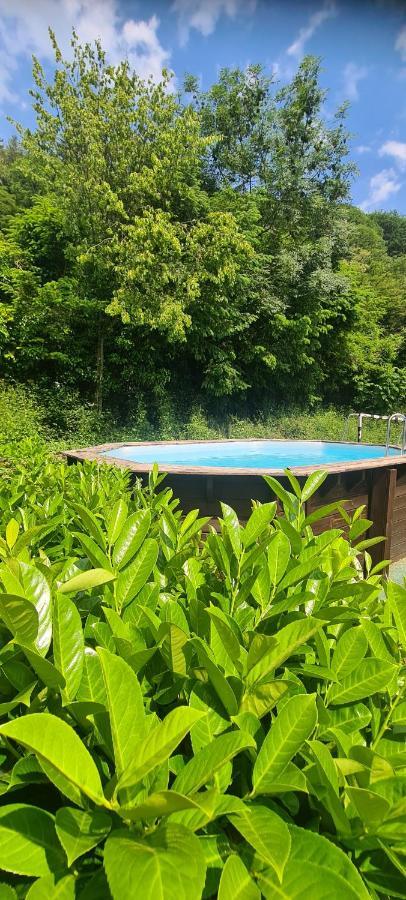 Maison Piscine Villa Saint-Amarin Kültér fotó