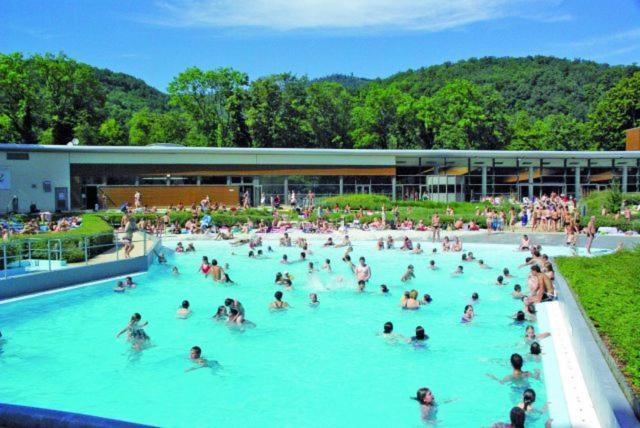 Maison Piscine Villa Saint-Amarin Kültér fotó